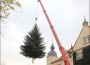 Riesas Weihnachtsbaum steht