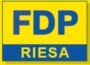 Neuer Vorstand bei der Riesaer FDP