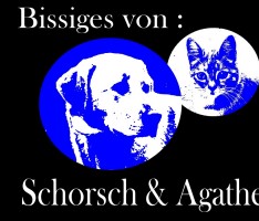 Schorsch & Agathe und der Ball